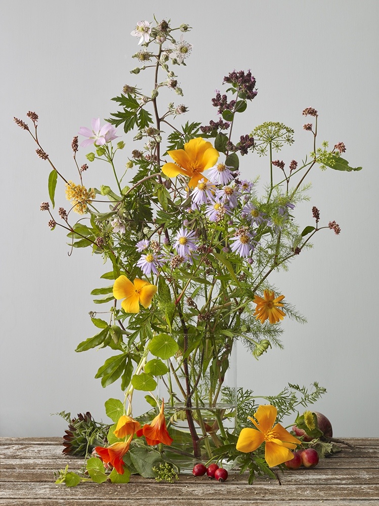kevin dutton | Artist and Photographer