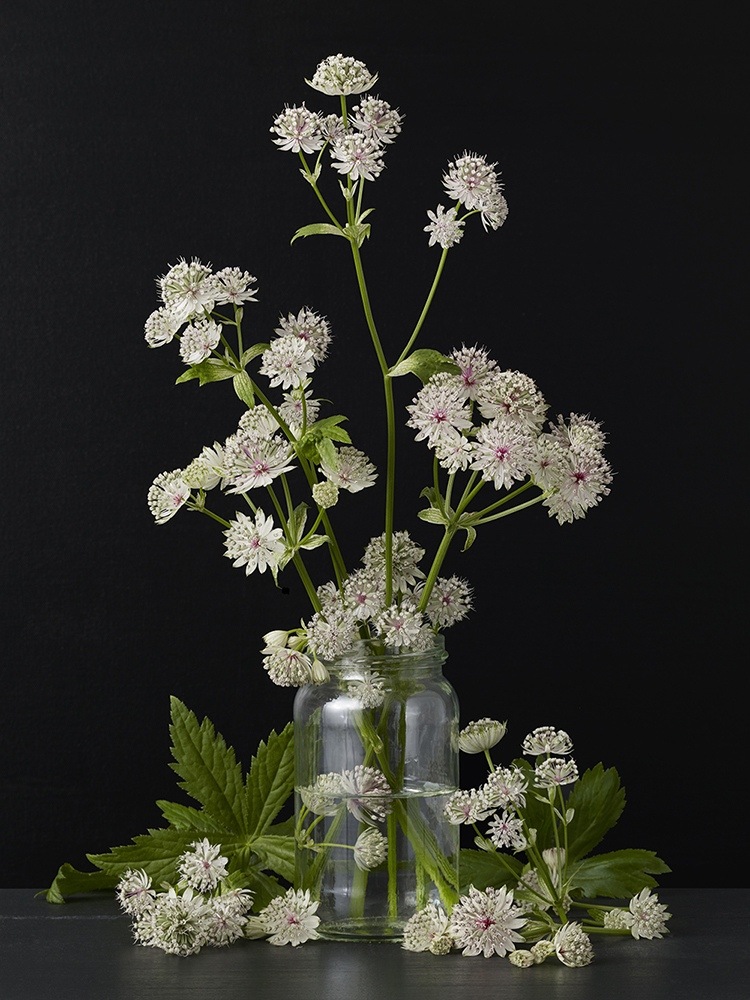 kevin dutton | Artist and Photographer