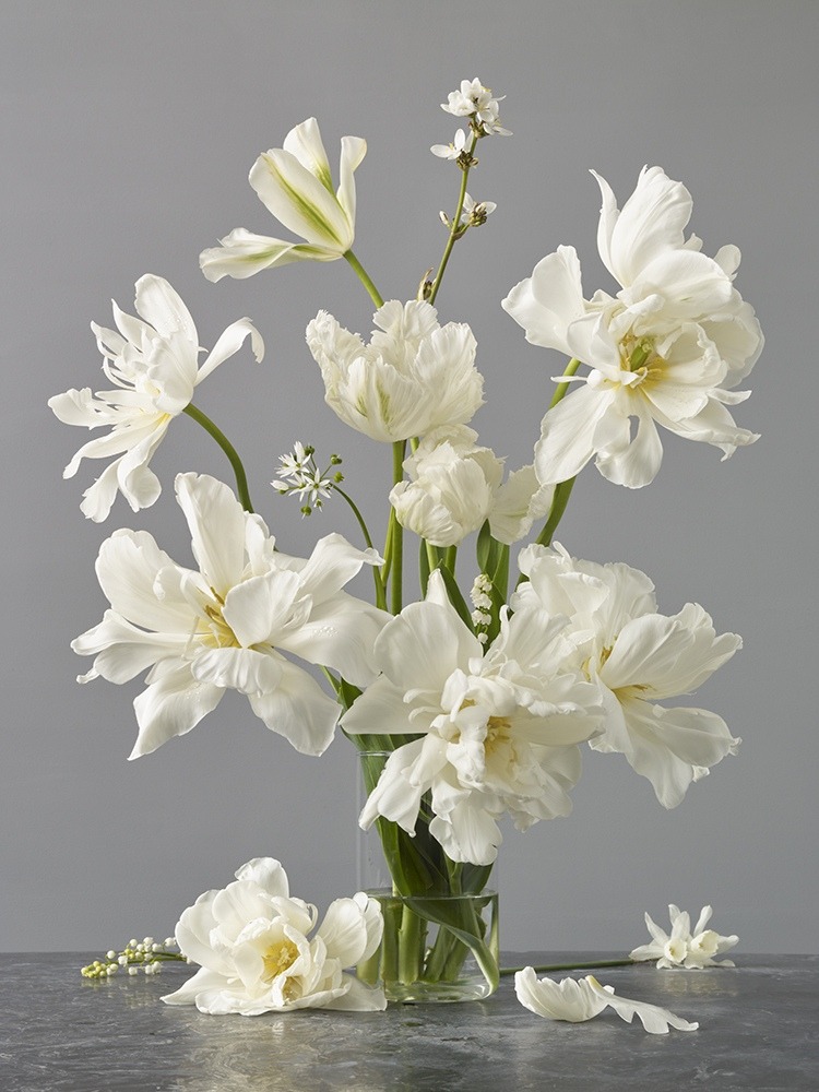 kevin dutton | Artist and Photographer