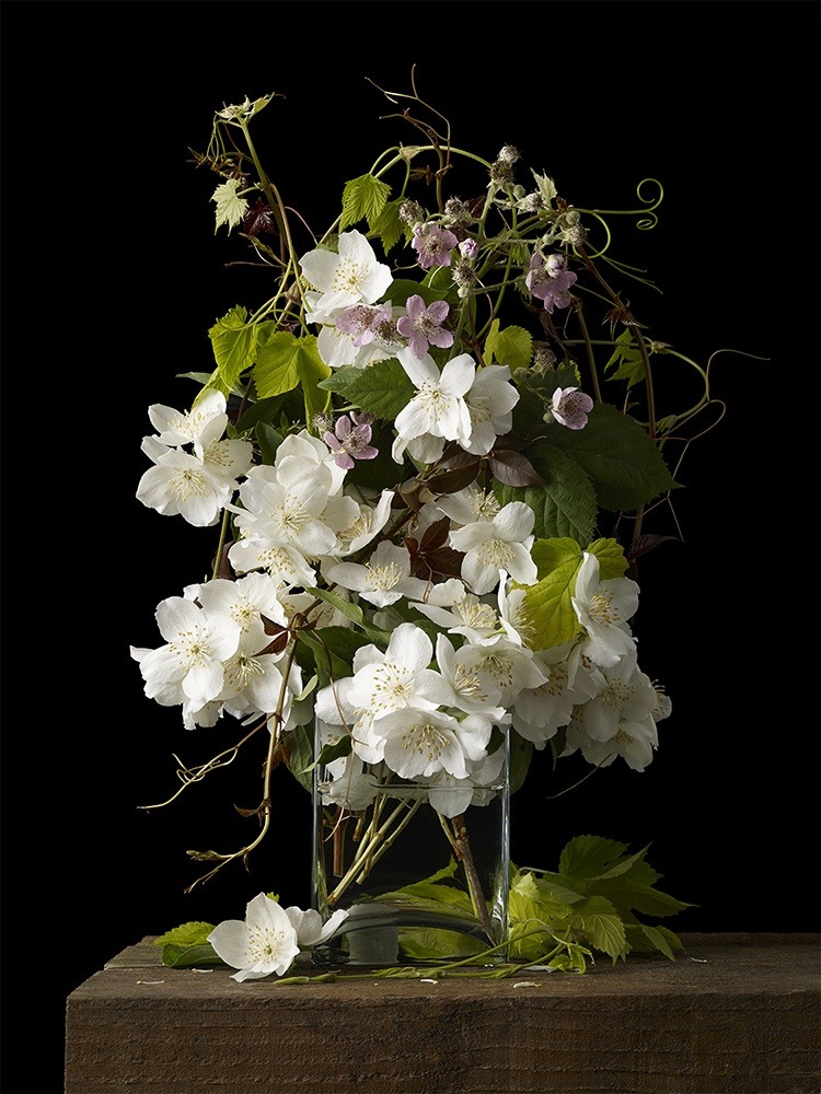 kevin dutton | Artist and Photographer