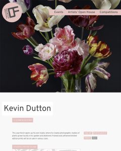 kevin dutton | Artist and Photographer